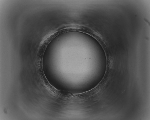 X0000101111448200807031728