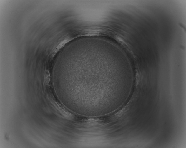 X0000101111449200807031728
