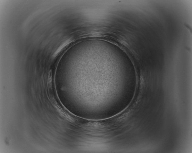 X0000101111450200807031728