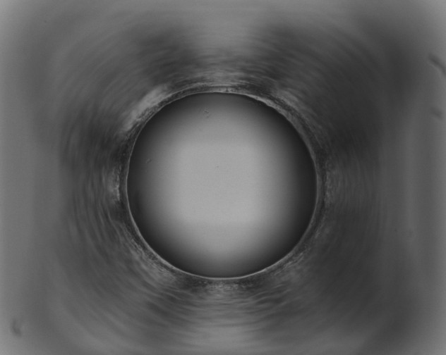 X0000101111451200807031728