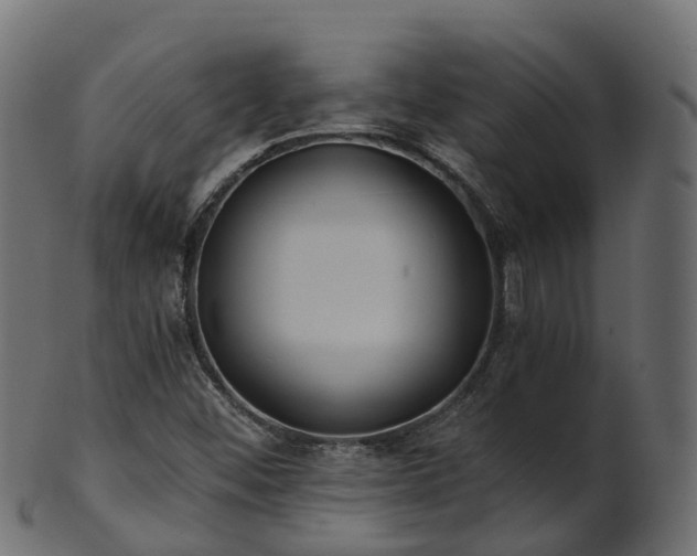 X0000101111452200807031728
