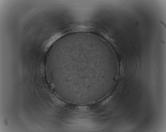 X0000101111453200807031728