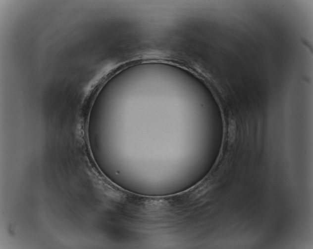 X0000101111454200807031728