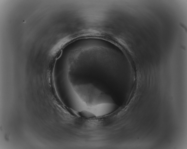 X0000101111455200807031728