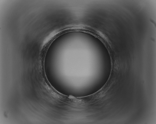 X0000101111456200807031728