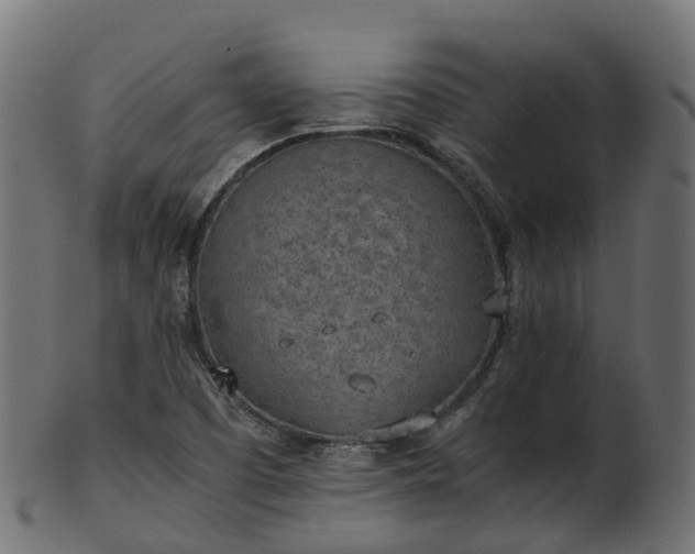 X0000101111457200807031728