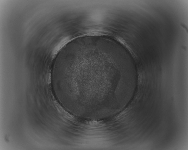 X0000101111459200807031728