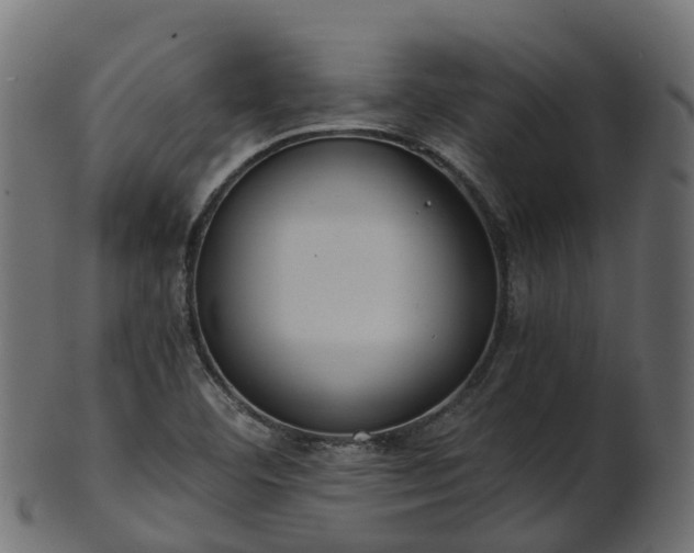 X0000101111460200807031728
