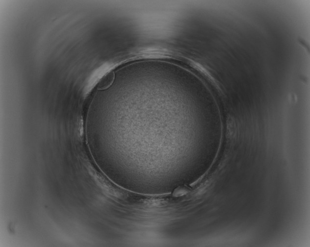 X0000101111461200807031728