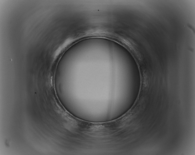X0000101111462200807031728