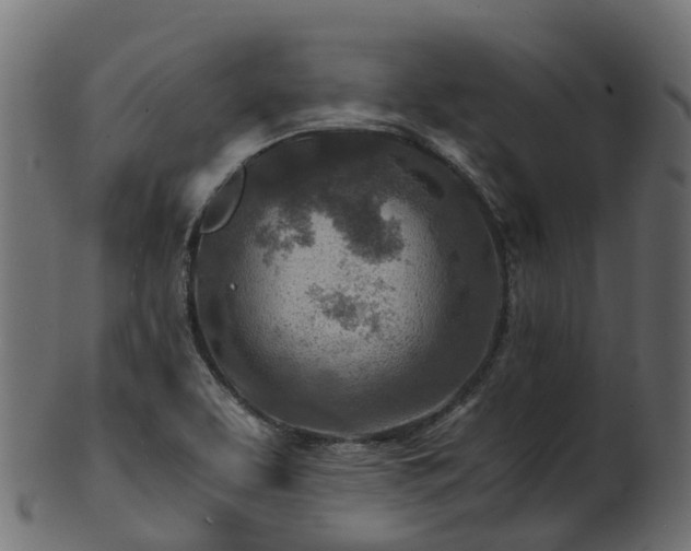 X0000101111463200807031728