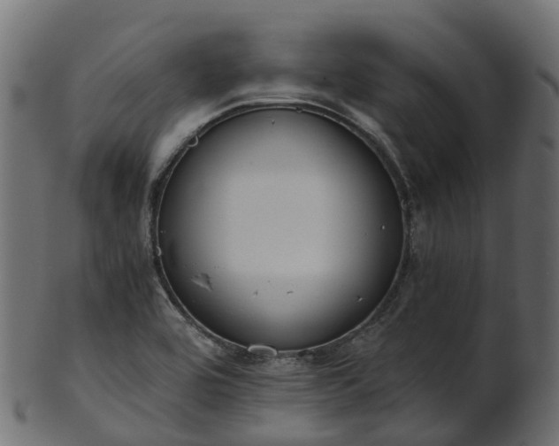 X0000101111464200807031728