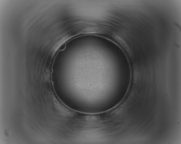 X0000101111465200807031728