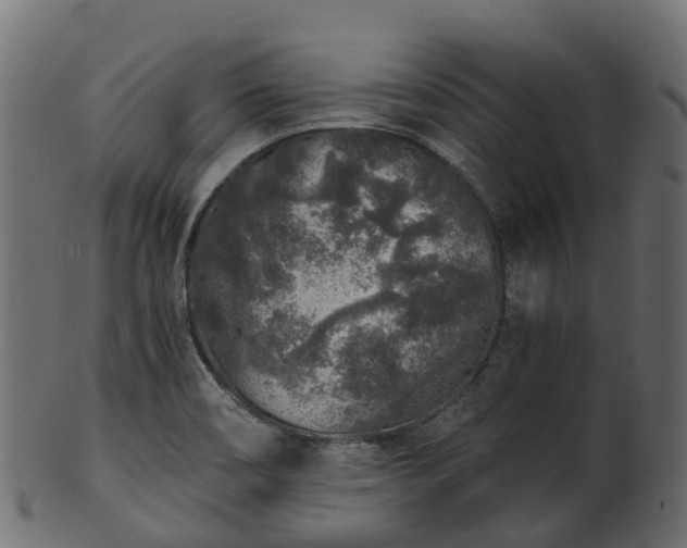 X0000101111466200807031728