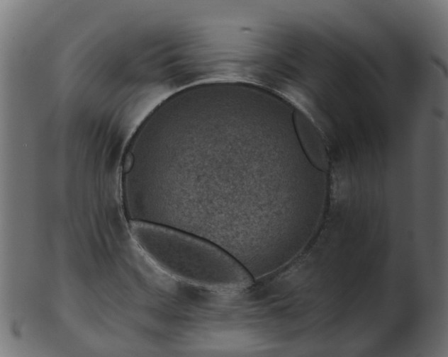X0000101111468200807031728