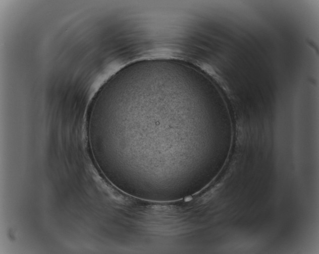 X0000101111469200807031728
