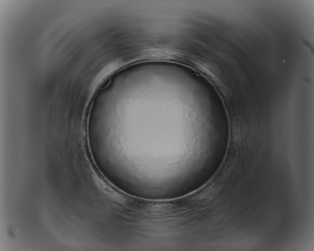 X0000101111471200807031728