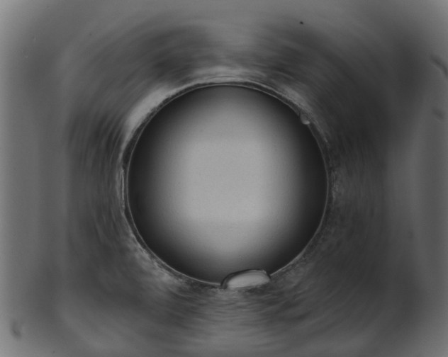 X0000101111472200807031728
