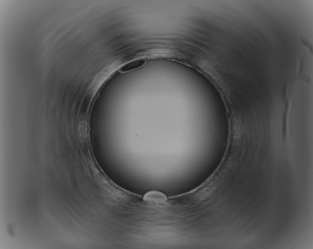 X0000101111473200807031728