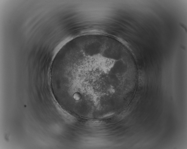 X0000101111474200807031728