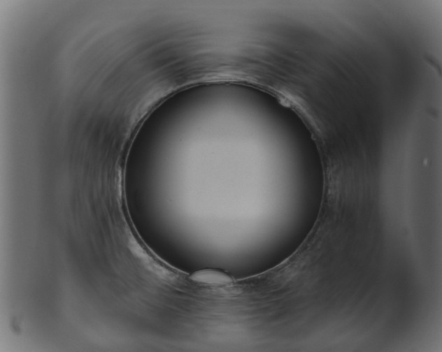 X0000101111476200807031728