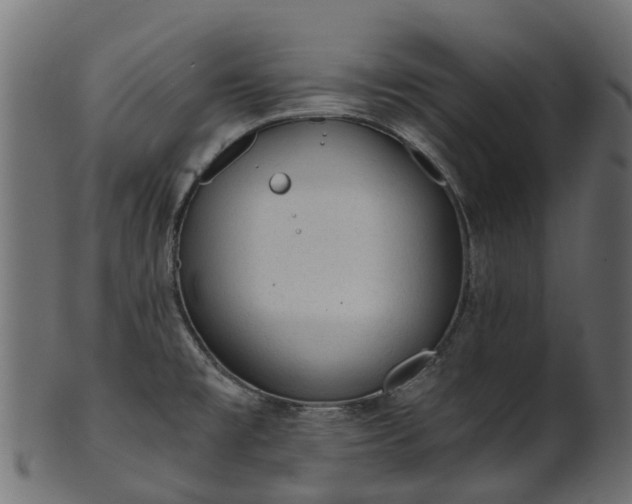 X0000101111477200807031728