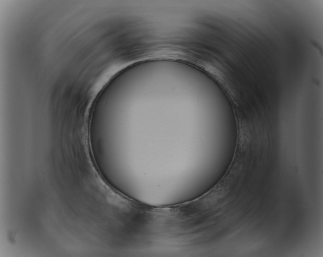 X0000101111478200807031728