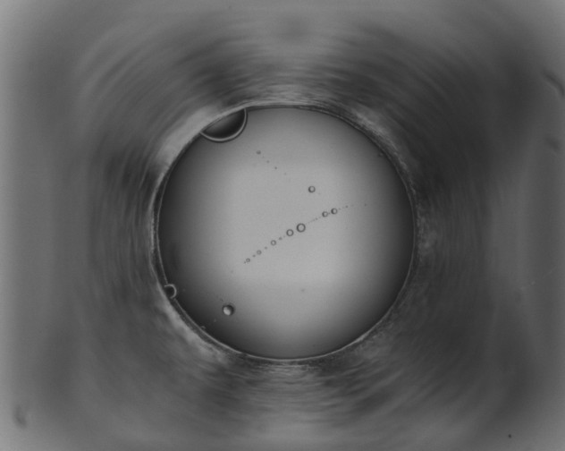 X0000101111479200807031728