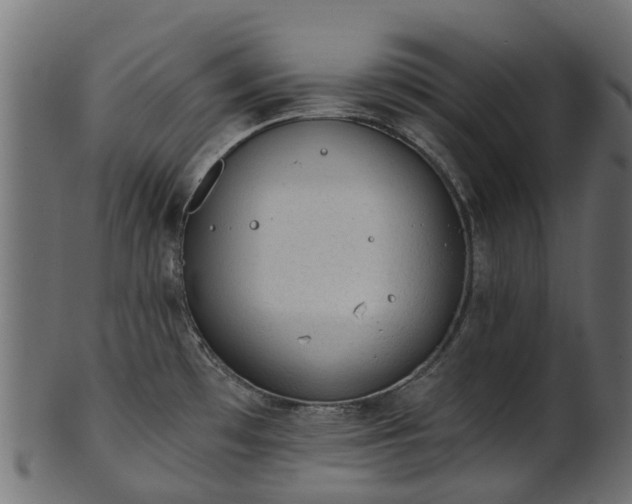 X0000101111481200807031728
