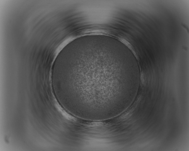 X0000101111482200807031728