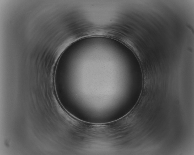X0000101111483200807031728