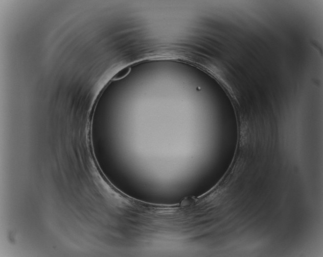 X0000101111484200807031728