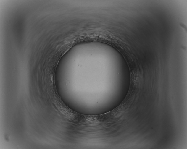 X0000101111489200807031727