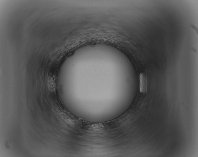 X0000101111491200807031727
