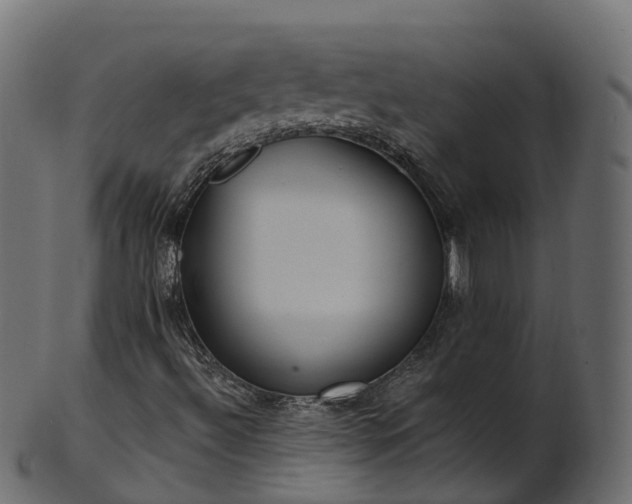 X0000101111492200807031727