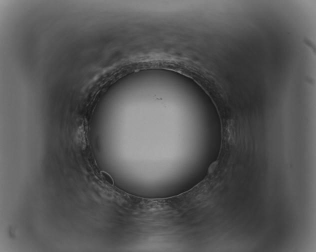 X0000101111493200807031727