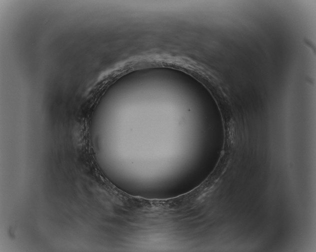 X0000101111494200807031727