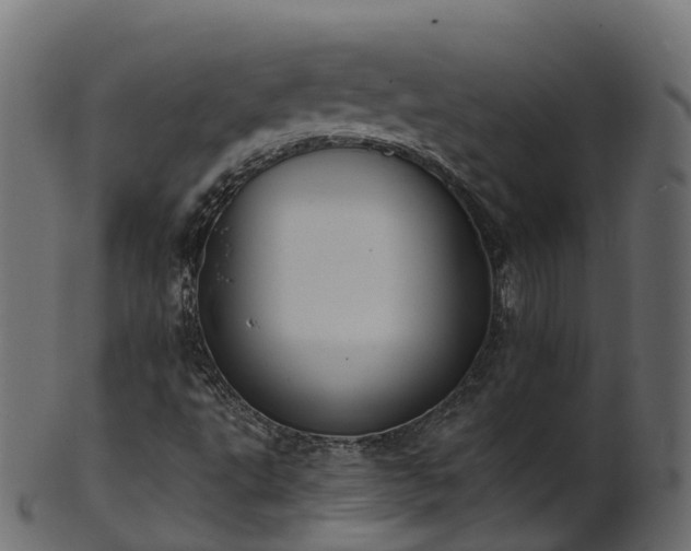 X0000101111495200807031727