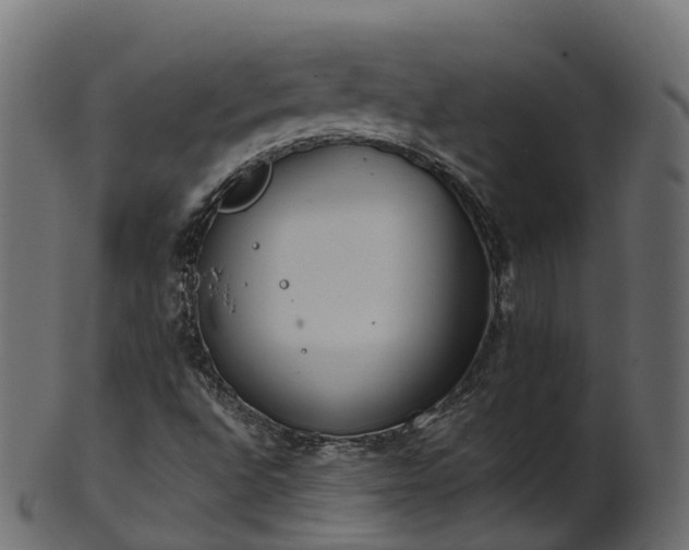 X0000101111496200807031727