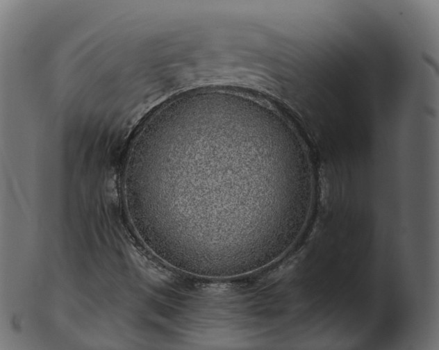 X0000101111497200807031727