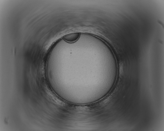 X0000101111498200807031727