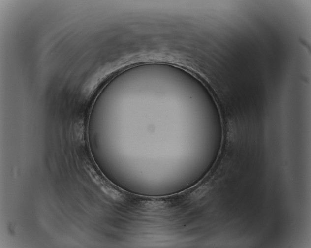 X0000101111499200807031727