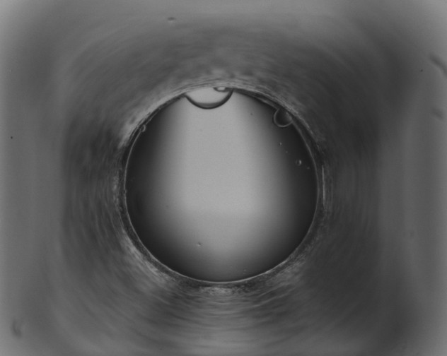 X0000101111500200807031727