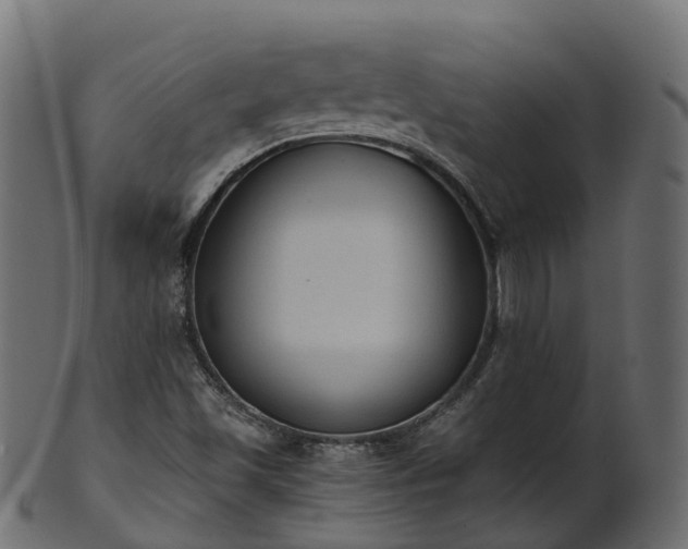 X0000101111501200807031727