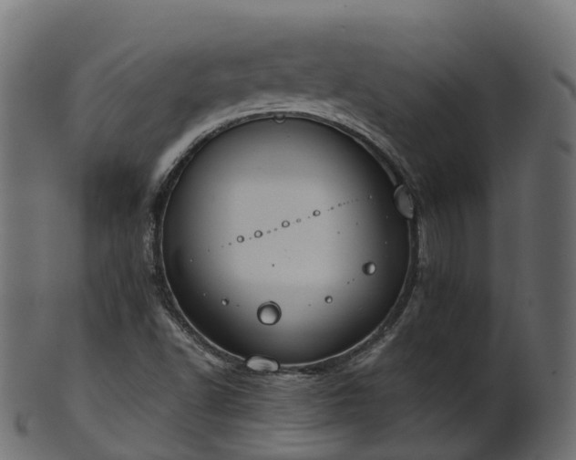 X0000101111502200807031727
