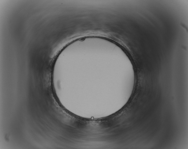 X0000101111504200807031727