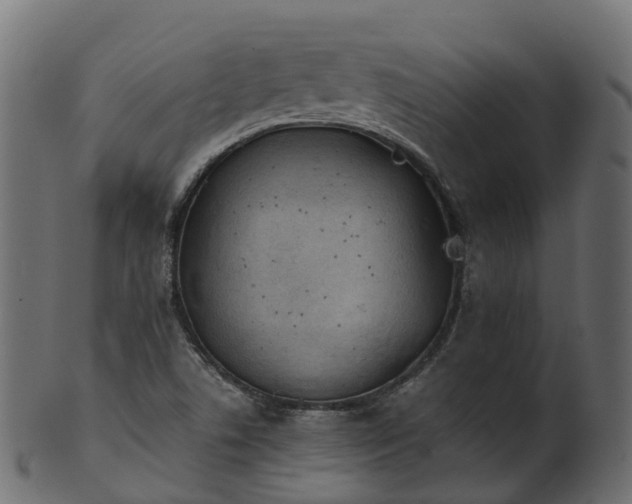 X0000101111506200807031727