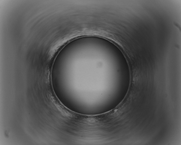 X0000101111507200807031727