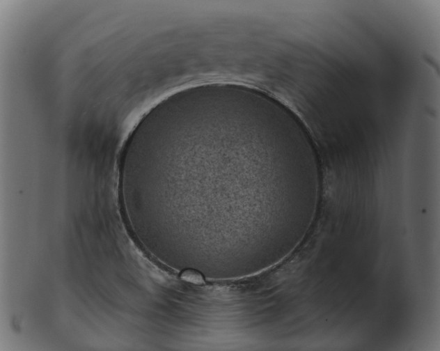 X0000101111508200807031727