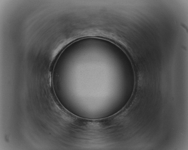 X0000101111509200807031727